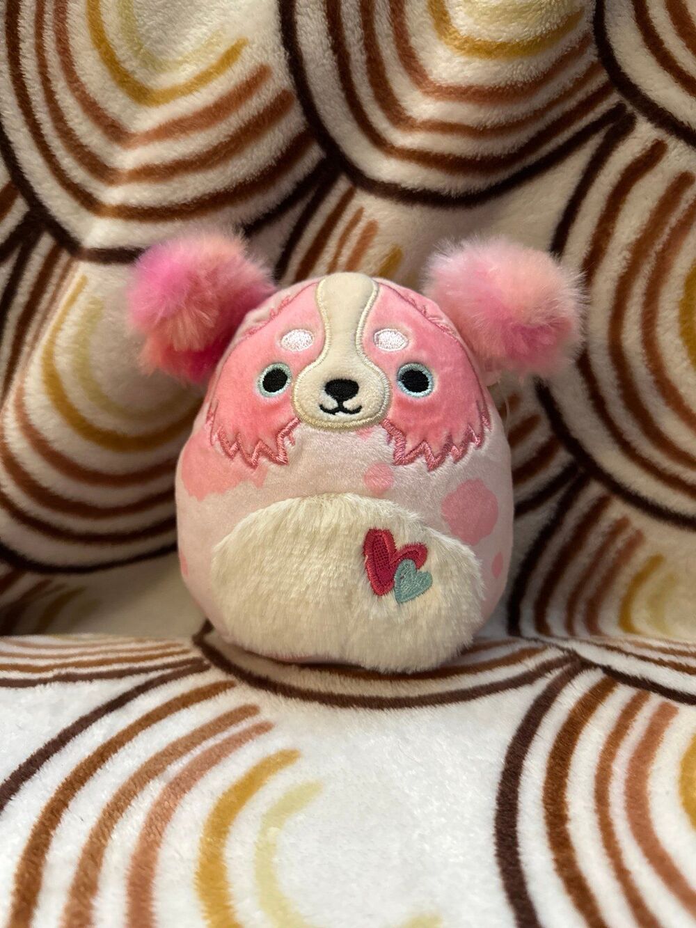Squishmallows 5" MAGNIS the Australian Shepard dog 2024 Valentine's Day
